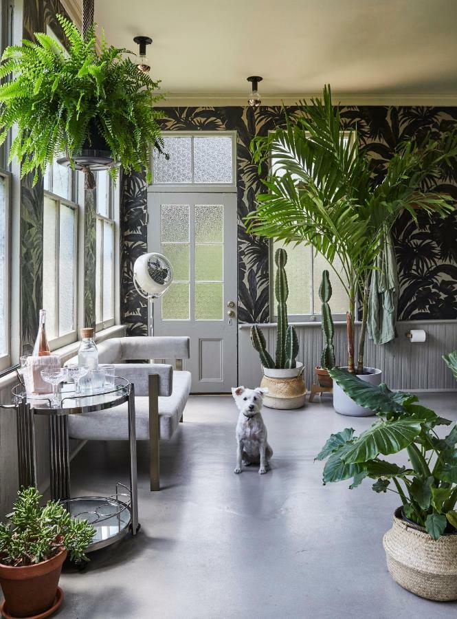 Dreamers Bnb Вілмінгтон Екстер'єр фото